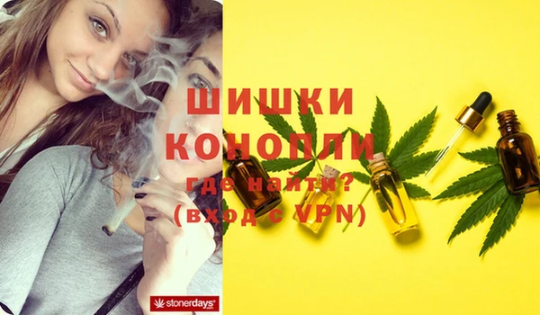 СК Струнино