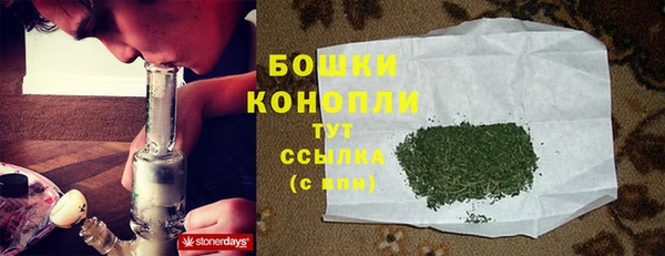 СК Струнино