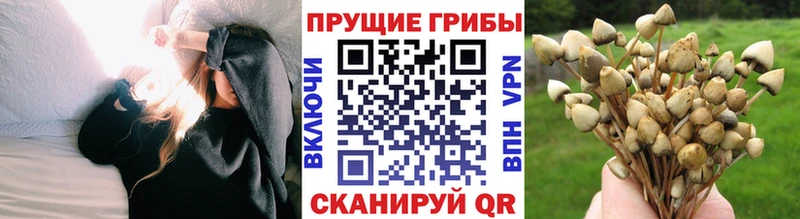 купить закладку  darknet официальный сайт  Псилоцибиновые грибы Magic Shrooms  Назарово  hydra ссылки 