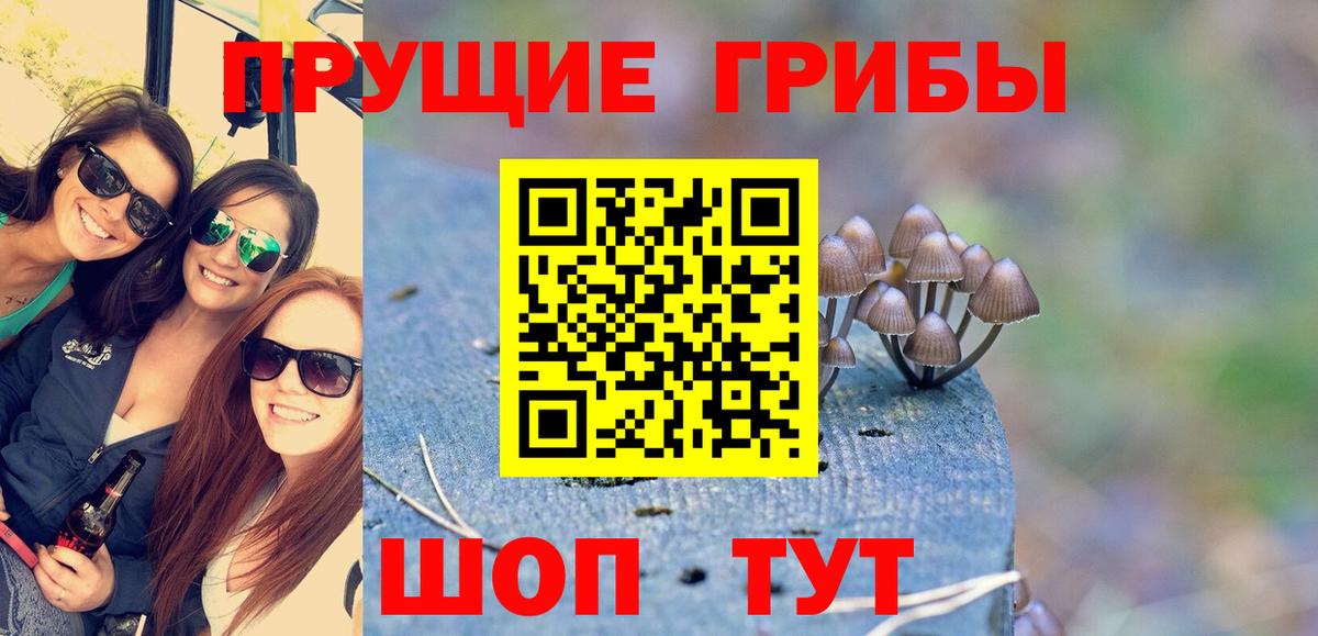 Псилоцибиновые грибы Psilocybine cubensis Назарово