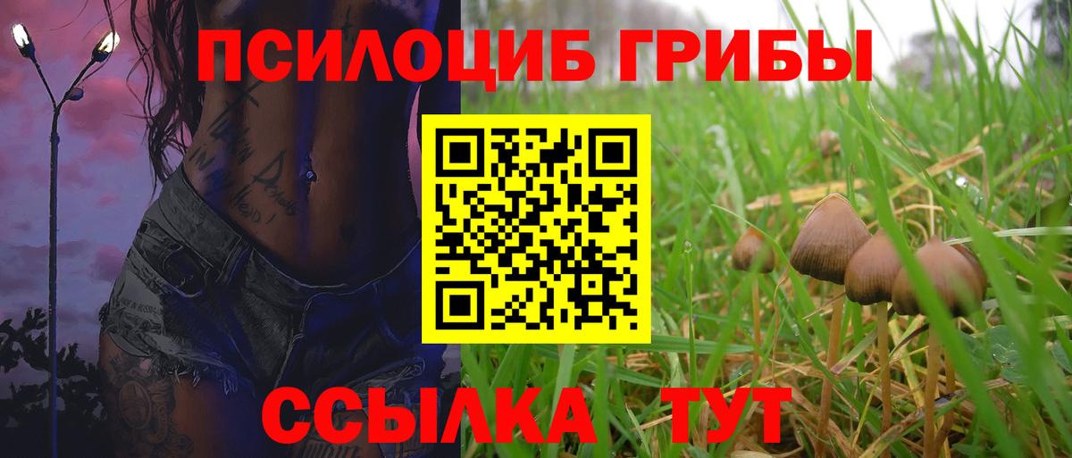 Назарово  Галлюциногенные грибы прущие грибы  Вход с VPN 